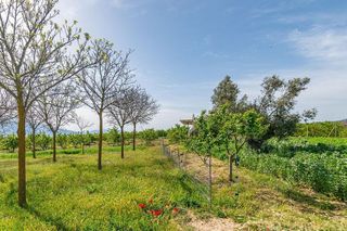 Terreno en venta en Padul