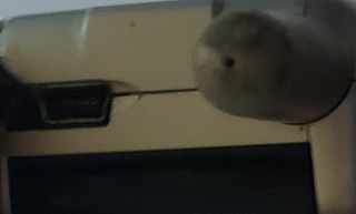 Motorola V180 de vodafone