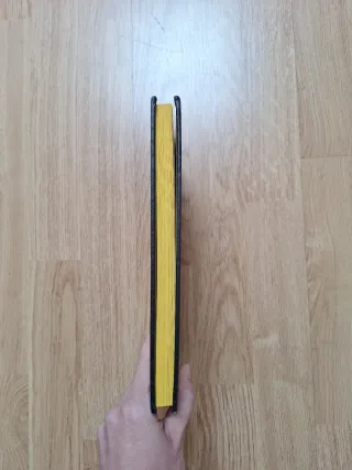 Libro Perrock Holmes: Dos detectives y medio