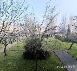 Oficina en alquiler en Parque de la Coruña - Las Suertes en Collado Villalba