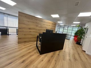 Oficina en alquiler en La Llotja - Sant Jaume en Palma de Mallorca