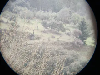 Prismáticos antiguos ENOSA 8x30 Alhambra