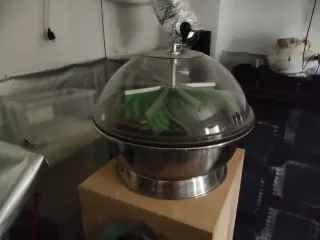 Kit Cultivo Interior