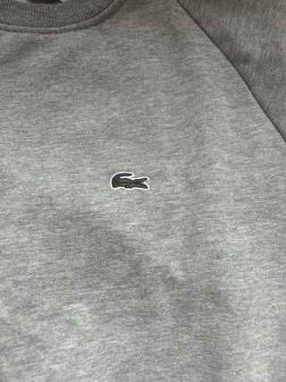 Sudadera Lacoste Gris con Logo