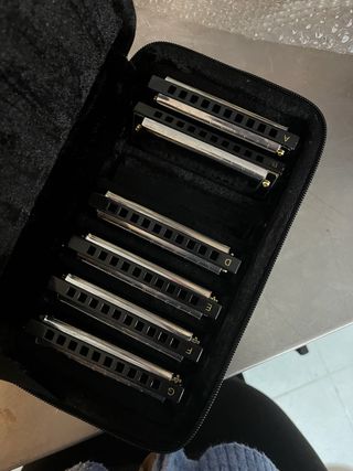 Set 6 Armoniche Hohner Blues (Manca Do C)
