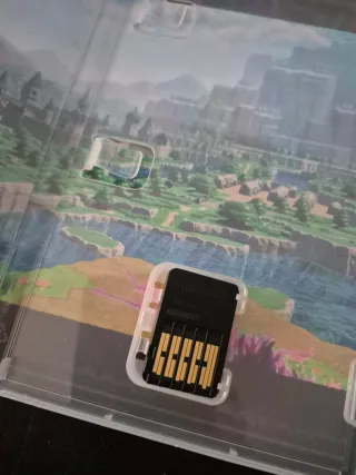 The Legend of Zelda: Echoes of Wisdom Switch