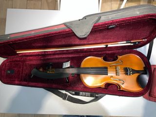 Violín 4/4 con estuche