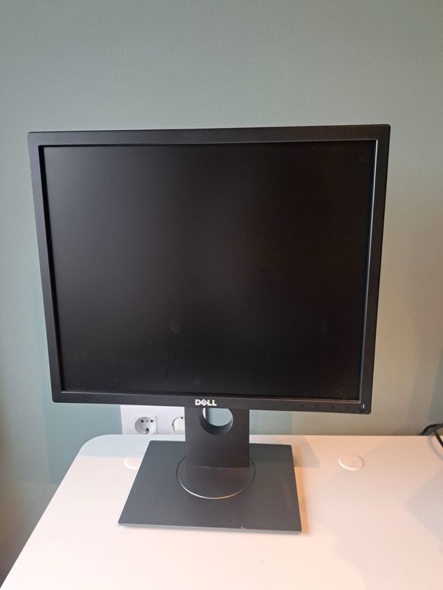 Monitor Dell P1917S Negro