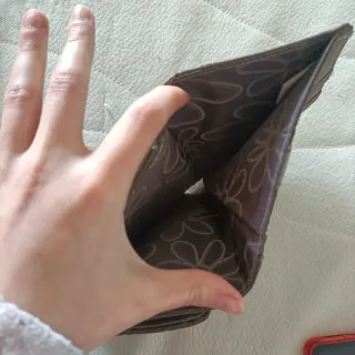 Portafogli Denny Rose marrone