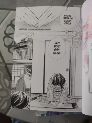 MY HAPPY MARRIAGE 1 al 4 en español