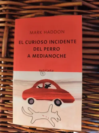 Novela sobre autismo/asperger