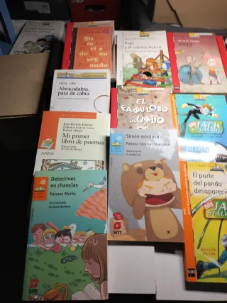 Lote libros Barco de Vapor