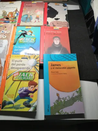 Lote libros Barco de Vapor