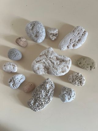 Sassi di mare decorativi - lotto 26