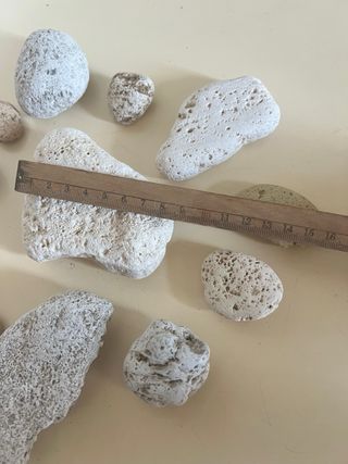 Sassi di mare decorativi - lotto 26