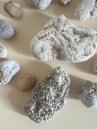 Sassi di mare decorativi - lotto 26