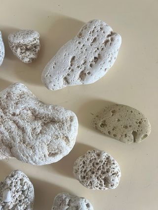 Sassi di mare decorativi - lotto 26