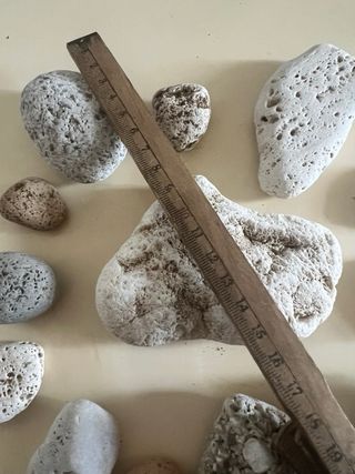 Sassi di mare decorativi - lotto 26