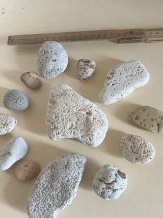 Sassi di mare decorativi - lotto 26