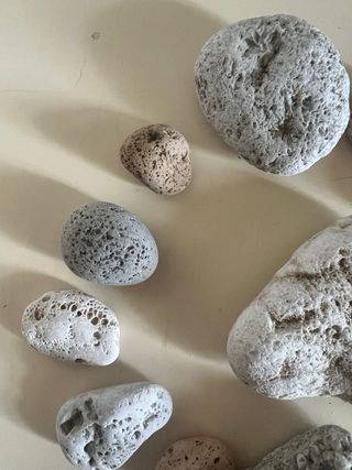 Sassi di mare decorativi - lotto 26