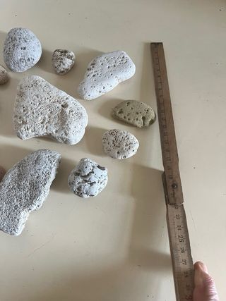 Sassi di mare decorativi - lotto 26