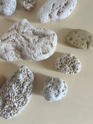 Sassi di mare decorativi - lotto 26