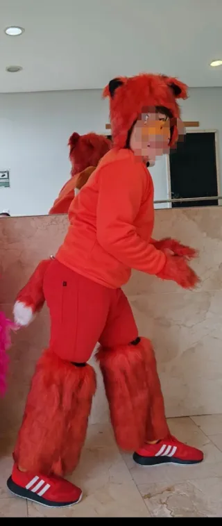 Disfraz zorro talla 14/16