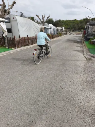 Bicicleta Paseo Clásica Hércules Alemana