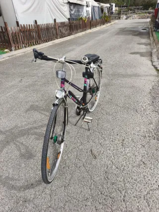 Bicicleta Paseo Clásica Hércules Alemana