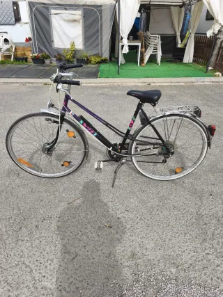 Bicicleta Paseo Clásica Hércules Alemana