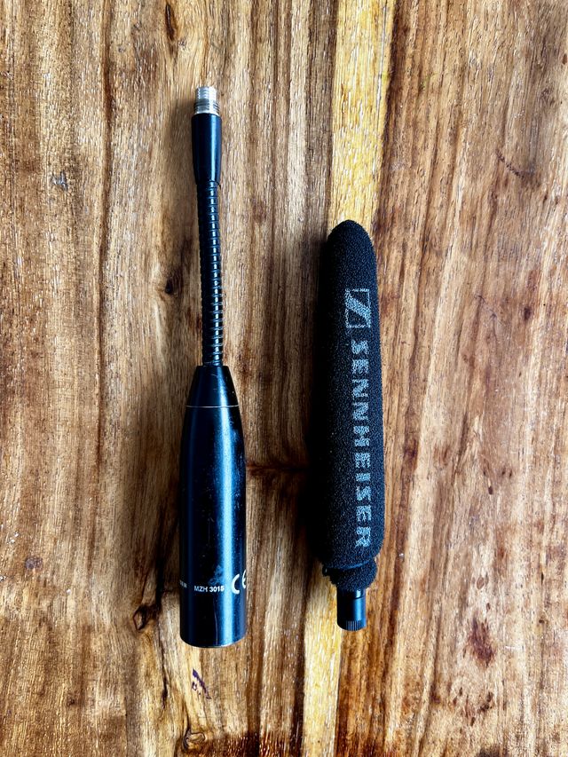Micrófono Sennheiser ME36 + MZH3015