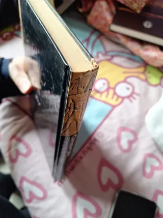 El enigma de la piedra de Christian Jacq