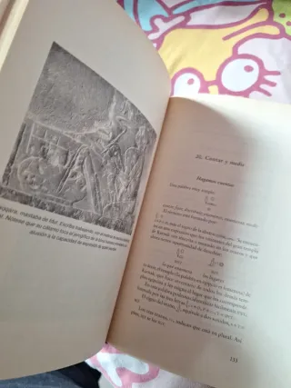 El enigma de la piedra de Christian Jacq