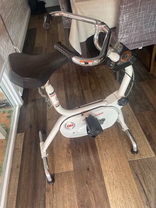 Bicicleta Estática BH Voltaje VINTAGE