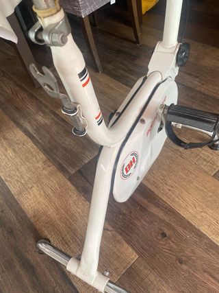 Bicicleta Estática BH Voltaje VINTAGE