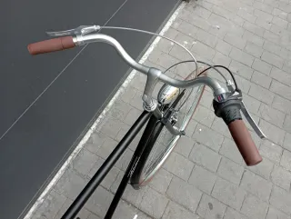 Bicicleta Clásica Alpina Negra