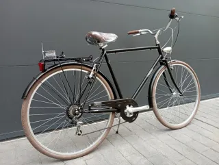 Bicicleta Clásica Alpina Negra