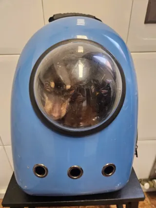 Transportín espacial para mascotas