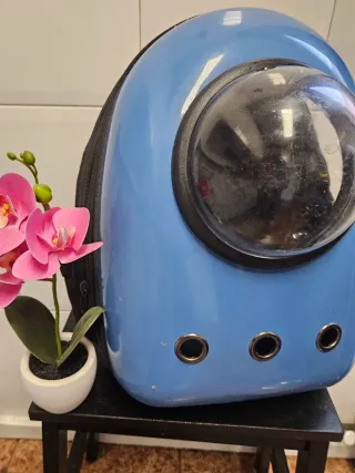 Transportín espacial para mascotas