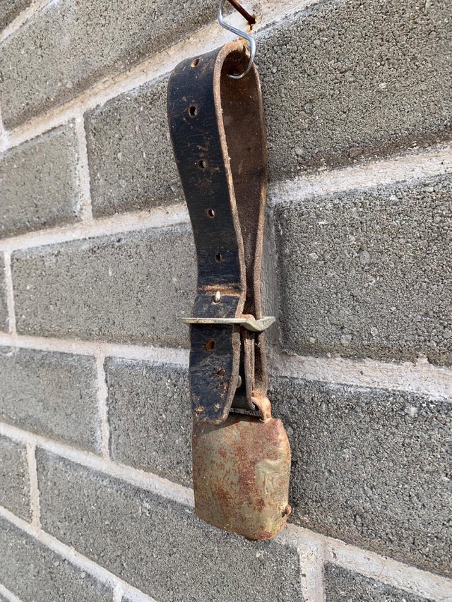 Campana antica con collare in cuoio