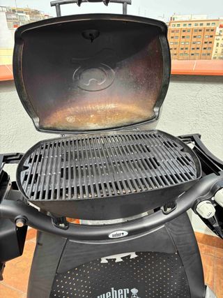 Barbacoa de gas Weber Q 3200