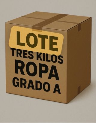Lote Ropa Segunda Mano Grado A Karliana