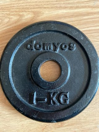 Discos de pesas Domyos 1 KG (2 unidades)
