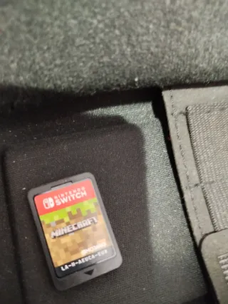 Nintendo Switch + Minecraft