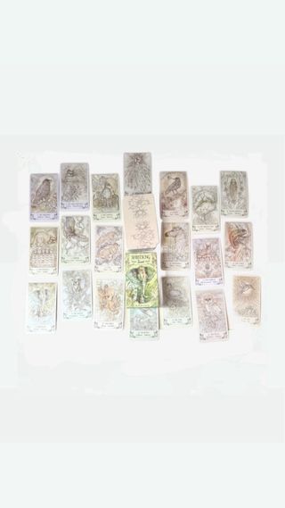 Tarocchi Etnici Nuovi per Principianti