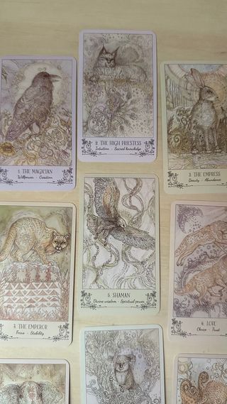 Tarocchi Etnici Nuovi per Principianti