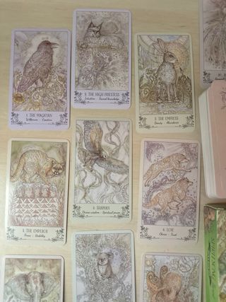 Tarocchi Etnici Nuovi per Principianti