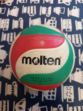 Pelota de voleibol Molten oficial