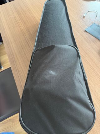 Violín para principiantes