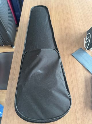 Violín para principiantes